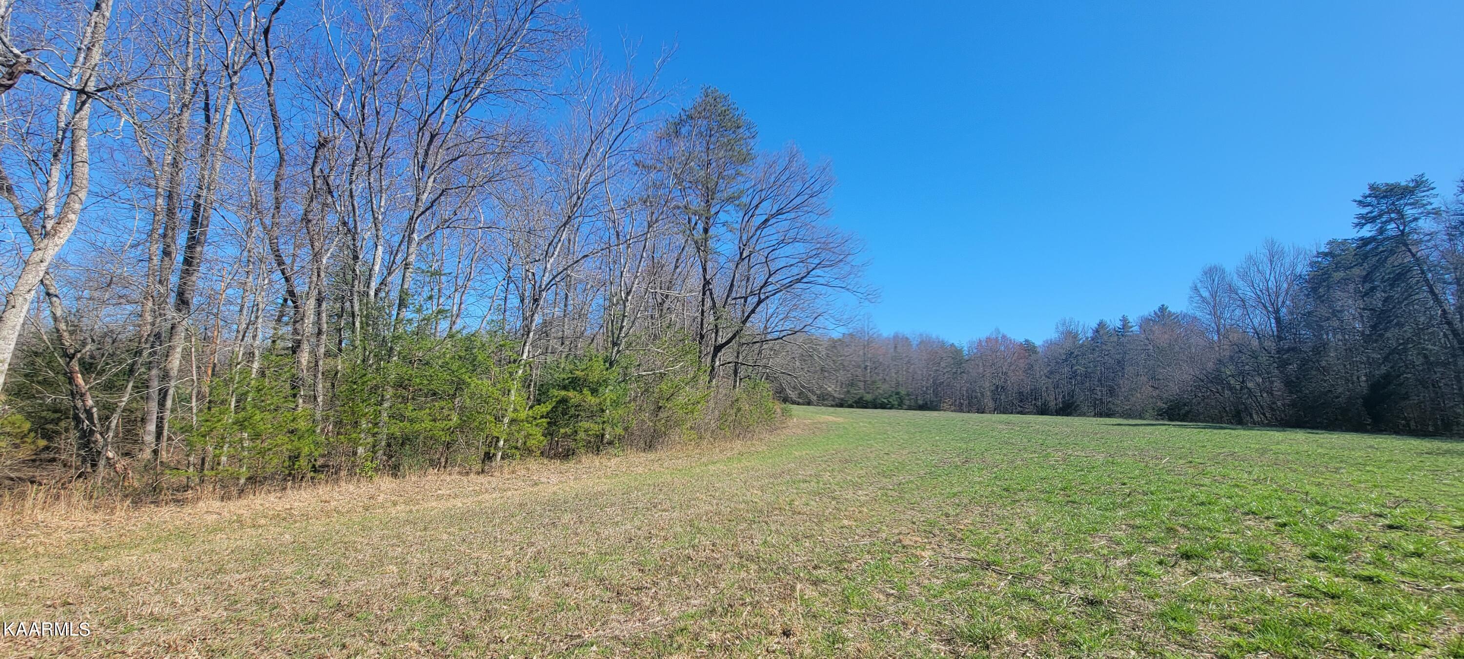Lot 91 Four Mile Creek Road Deer Lodge, TN 37726 - Photo 4 of 7 20230315_155529