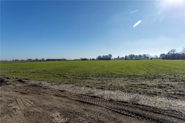a house view with a backyard space