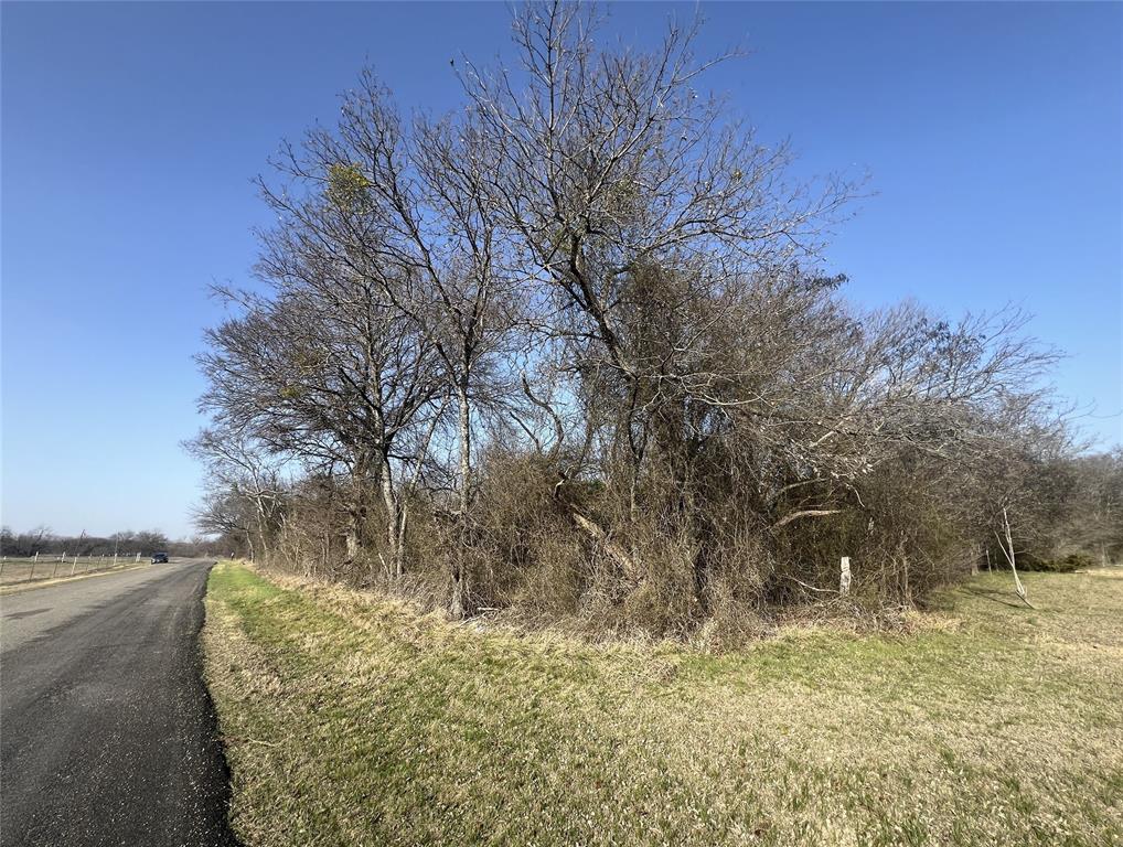 13700 Gholson Road Gholson, TX 76705 - Photo 5 of 8 a view of a yard with trees