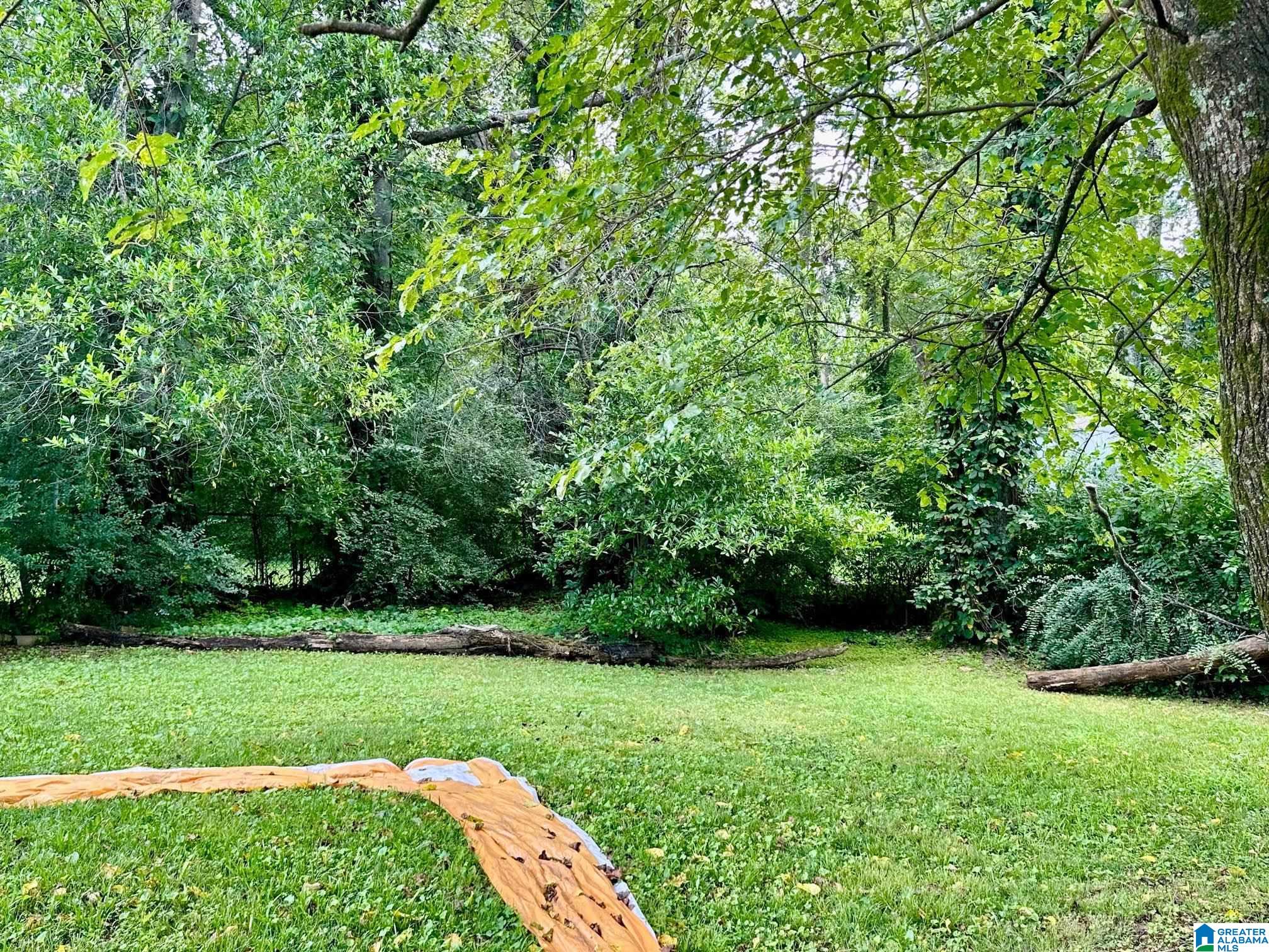 4009 44th Street North Birmingham, AL 35217 - Photo 11 of 11