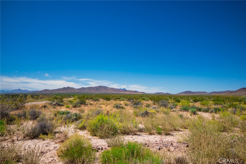 0 Mable Lane Tecopa, CA 92389 - Photo 12 of 13