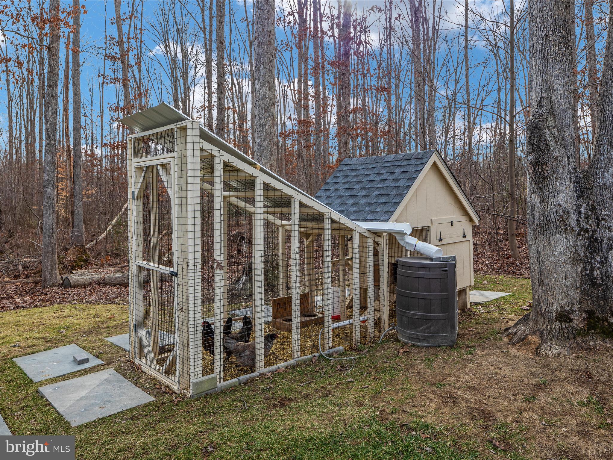 12745 Bristersburg Road Midland, VA 22728 - Photo 51 of 64 Chicken coop and 3 hen layers convey