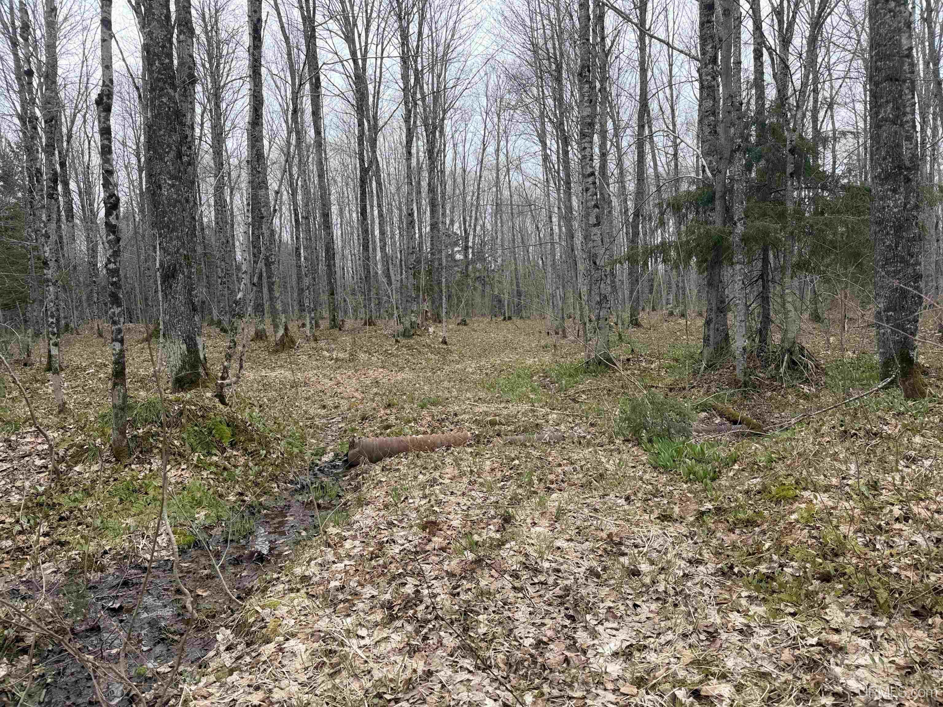 Tbd Lake Road Ironwood, MI 49938 - Photo 21 of 31