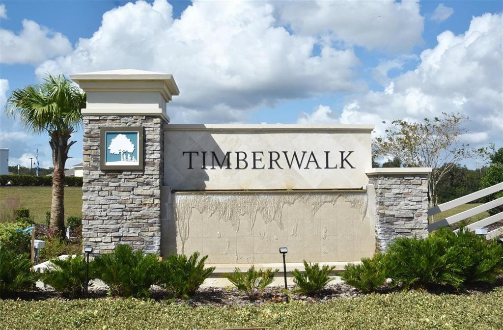 1237 Limbali Street Mount Dora, FL 32757 - Photo 12 of 19