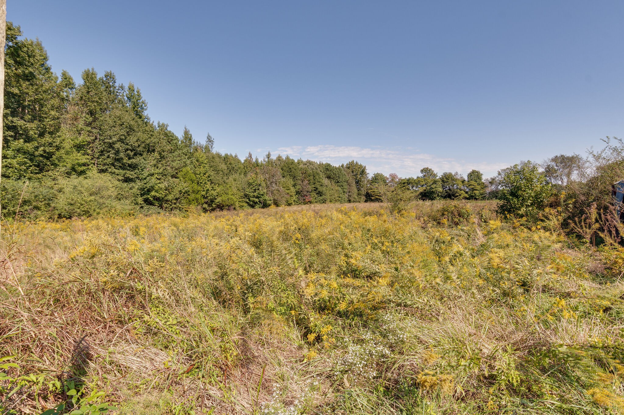 1350 Gourdneck Road Northwest Tullahoma, TN 37388 - Photo 34 of 35 Gallery Image 34