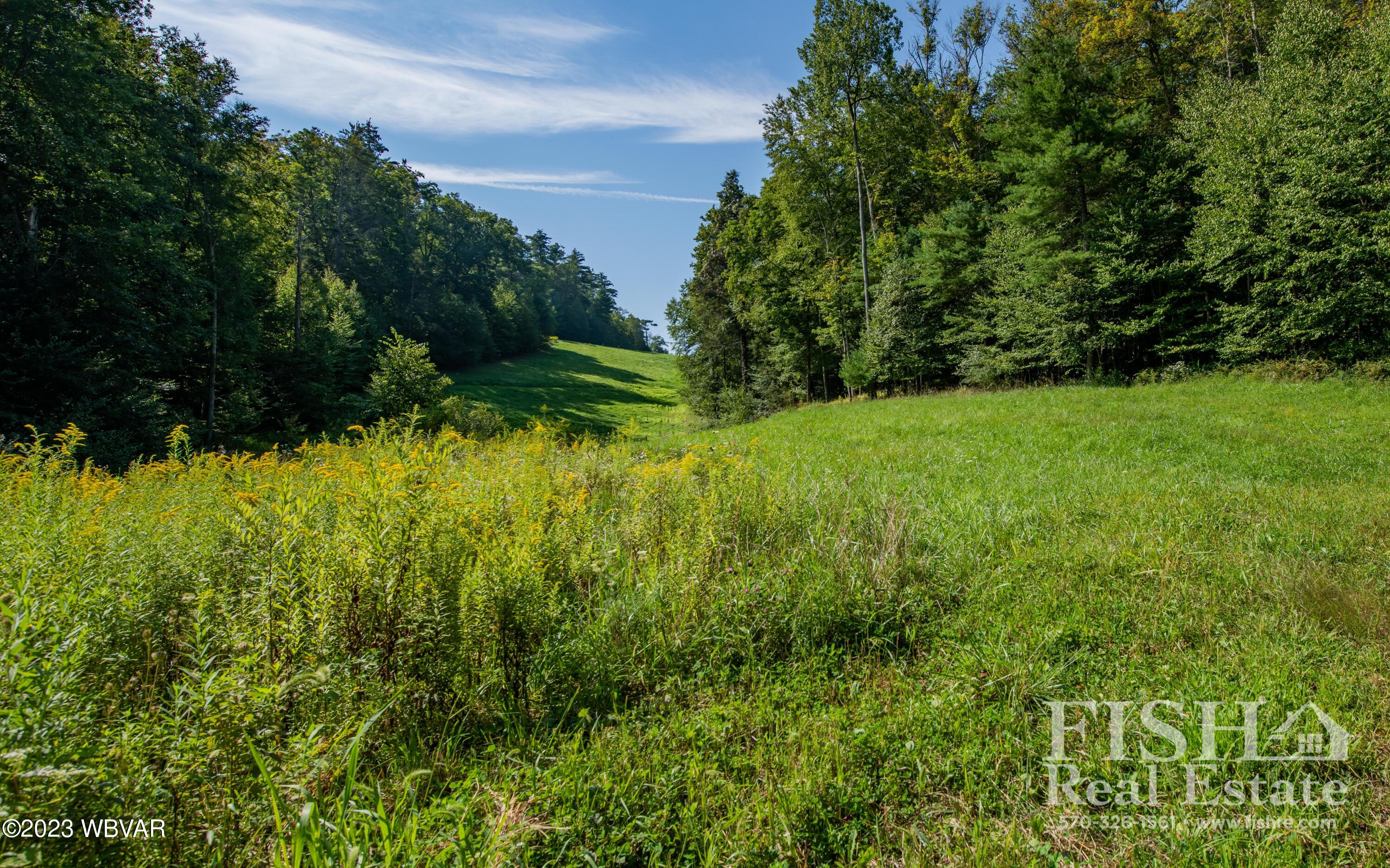 357 Hoagland Run Road Cogan Station, PA 17728 - Photo 17 of 39 Gallery Image 17