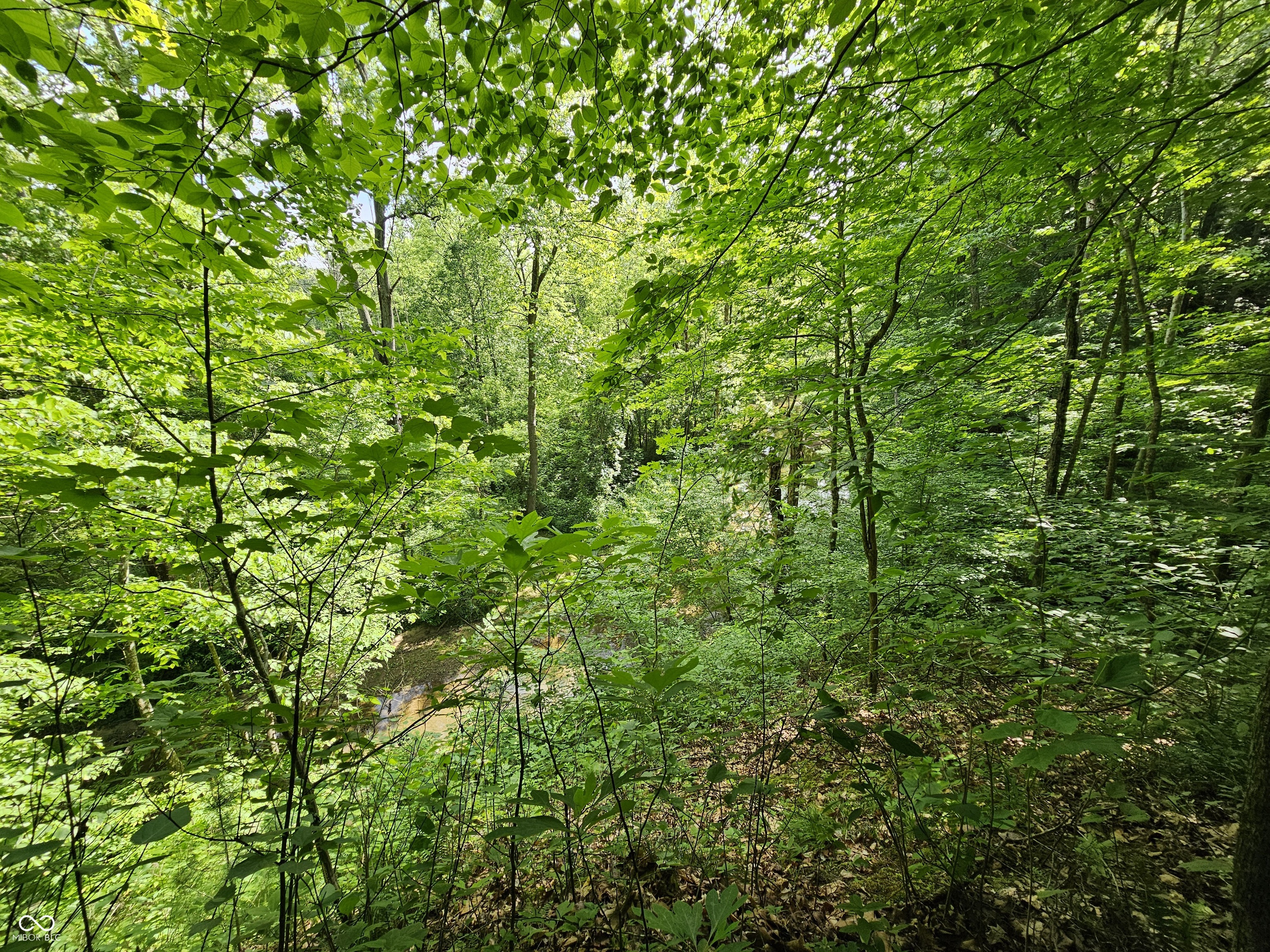 4405 Covered Bridge Road Nashville, IN 47448 - Photo 42 of 65 Gallery Image 42