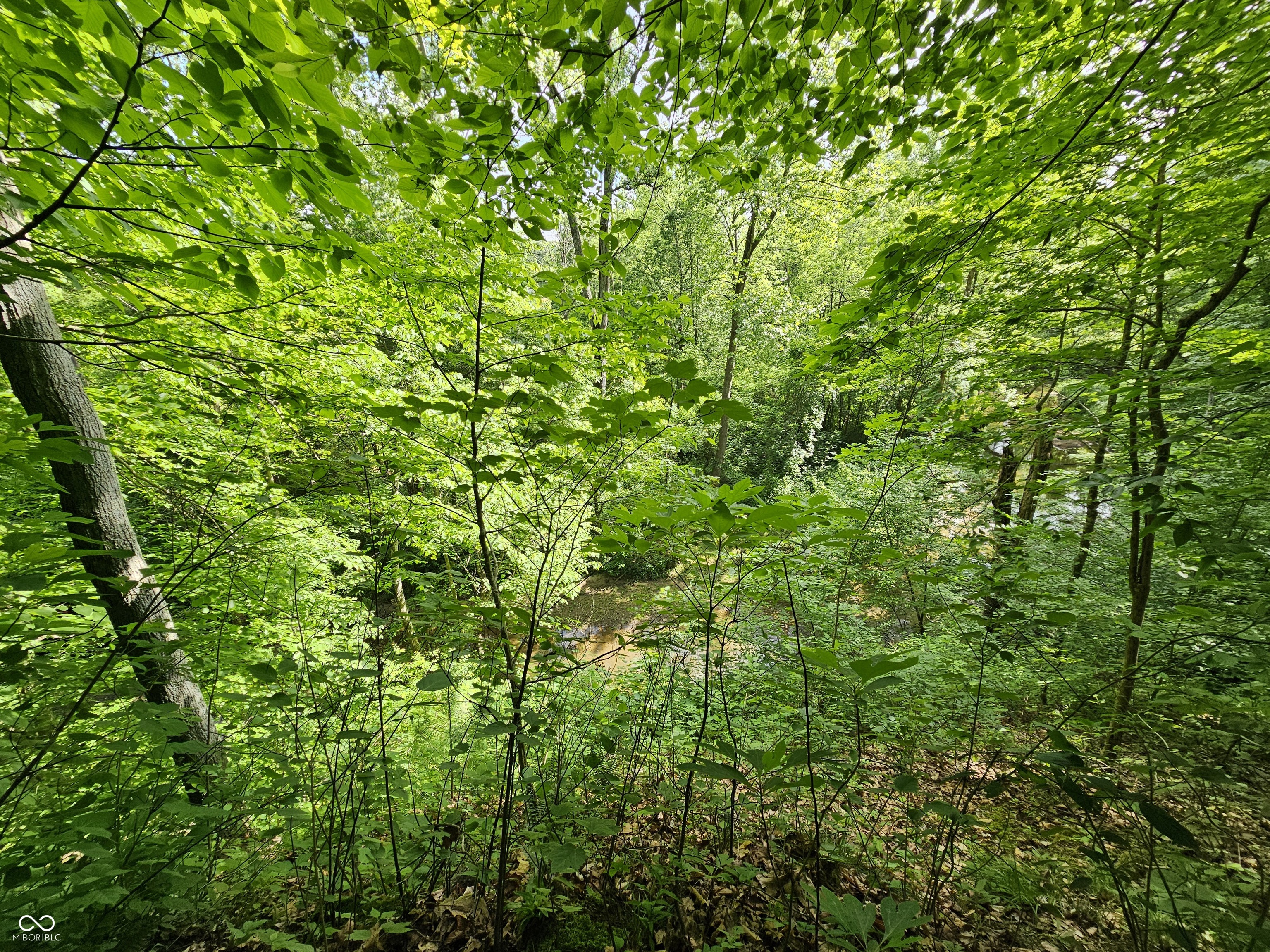 4405 Covered Bridge Road Nashville, IN 47448 - Photo 43 of 65 Gallery Image 43