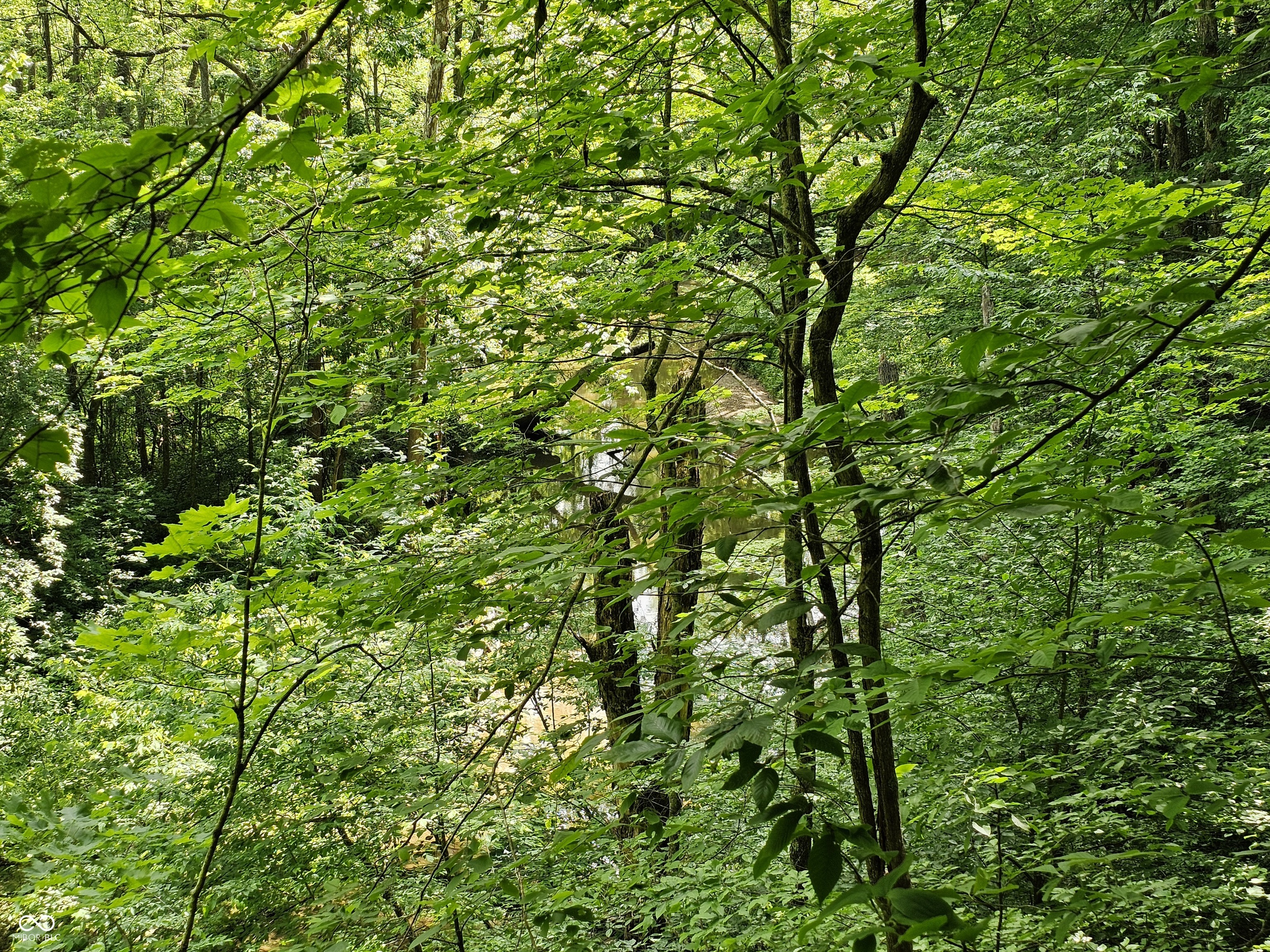 4405 Covered Bridge Road Nashville, IN 47448 - Photo 44 of 65 Gallery Image 44