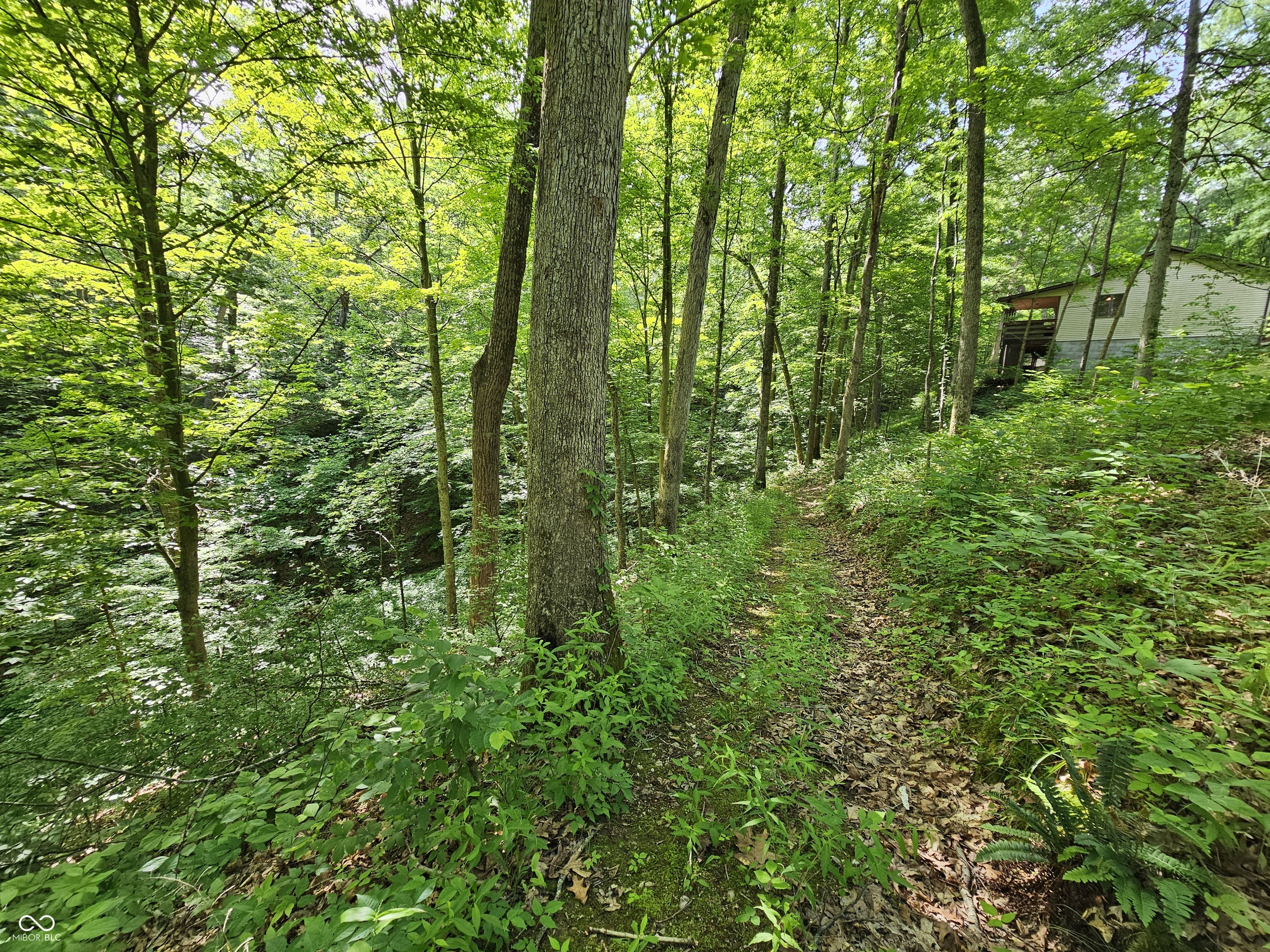 4405 Covered Bridge Road Nashville, IN 47448 - Photo 47 of 65 Gallery Image 47