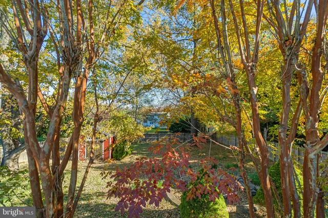 a view of a yard with a tree
