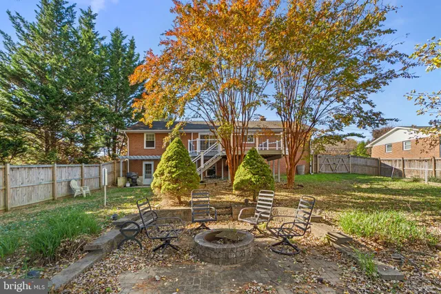 a view of a backyard with plants and large trees