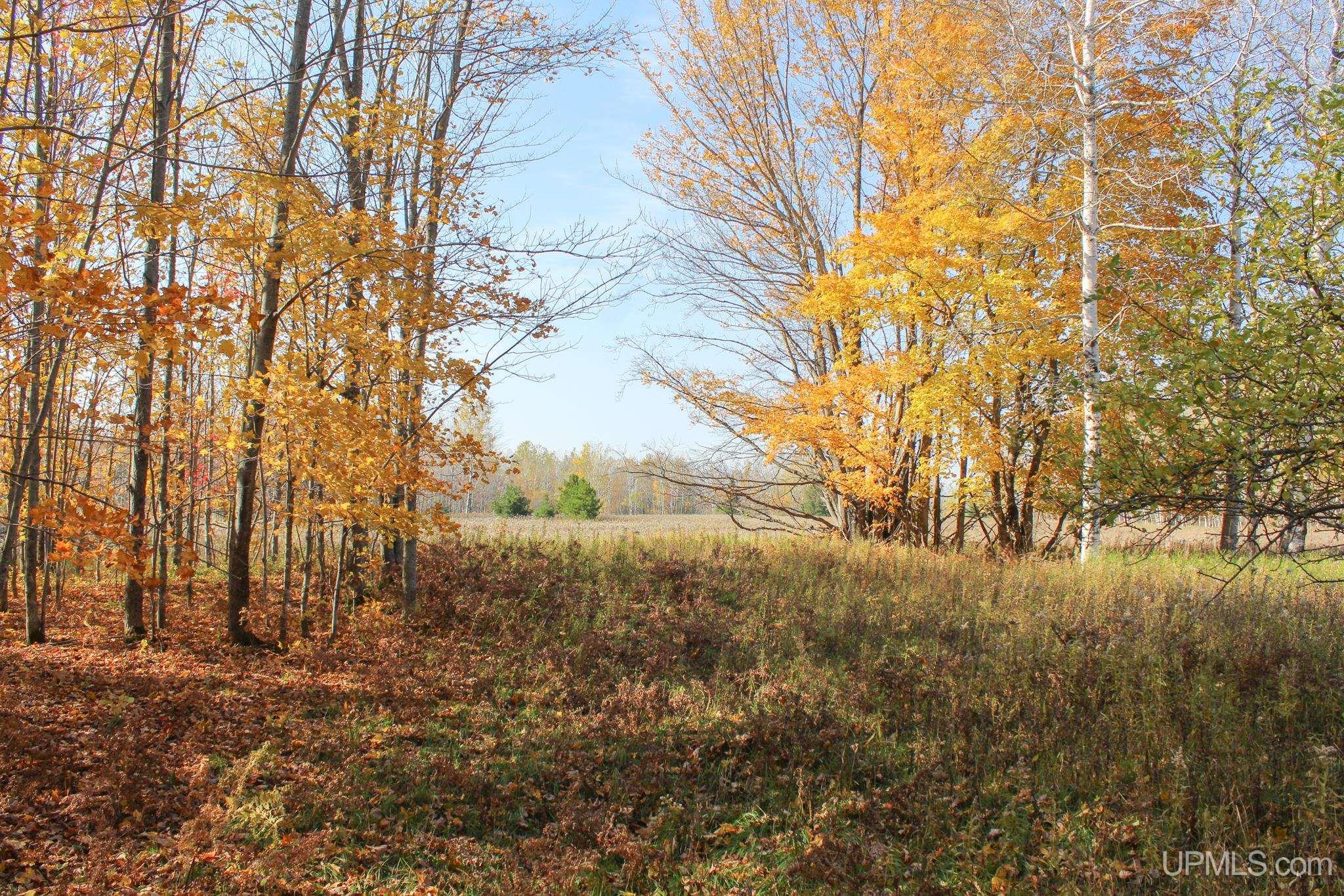 Tbd Pike River Road Chassell, MI 49916 - Photo 12 of 57 Gallery Image 12