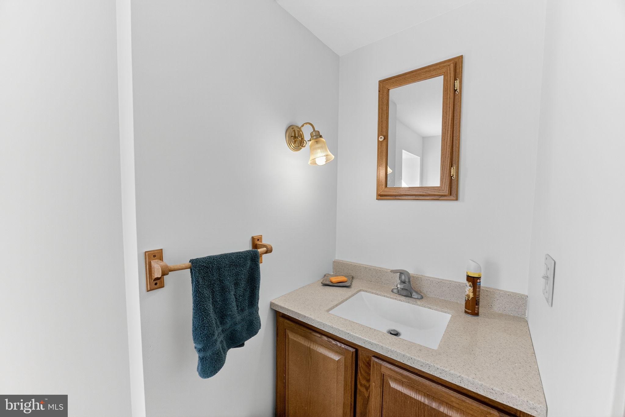 275 Sally Ann Furnace Road Mertztown, PA 19539 - Photo 15 of 33 Charming bathroom with modern touches.