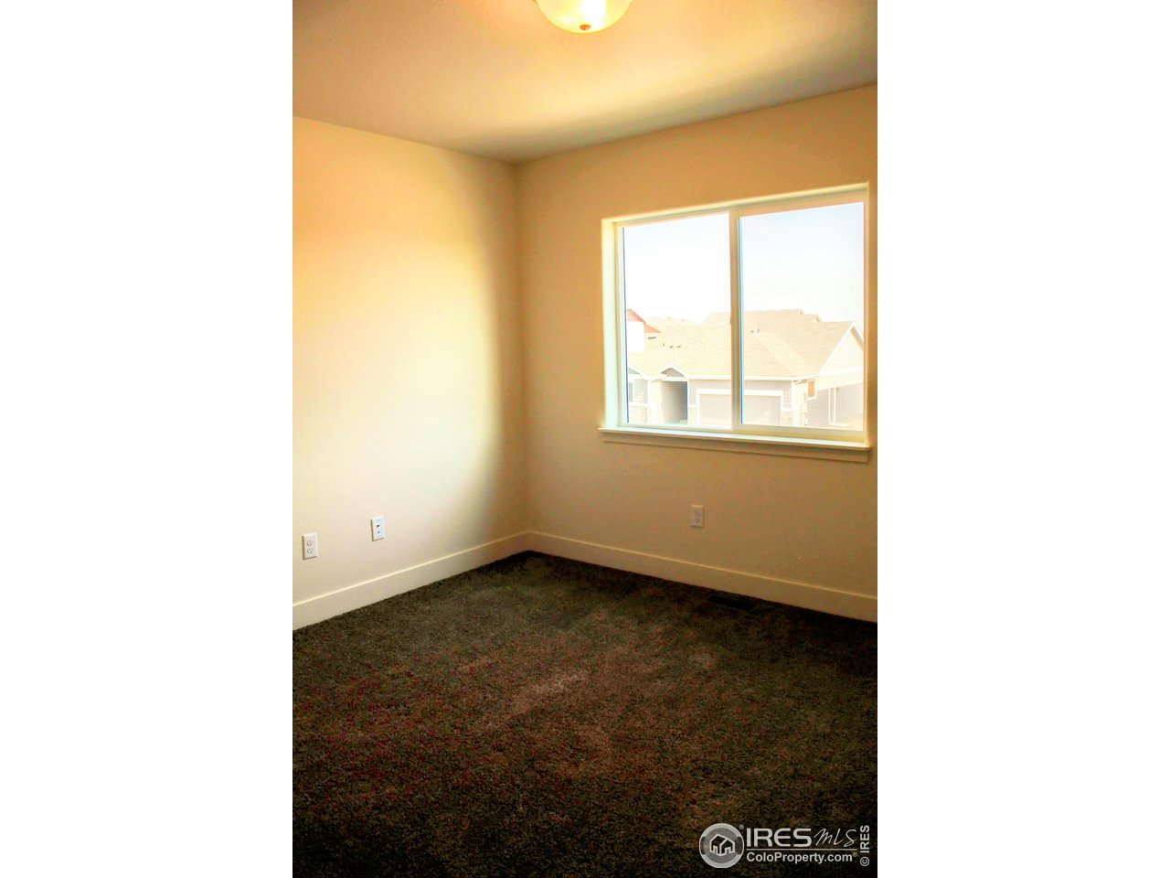 434 Luminous Drive Windsor, CO 80550 - Photo 20 of 29 a picture of a room
