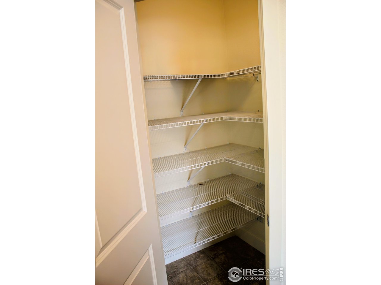 434 Luminous Drive Windsor, CO 80550 - Photo 9 of 29