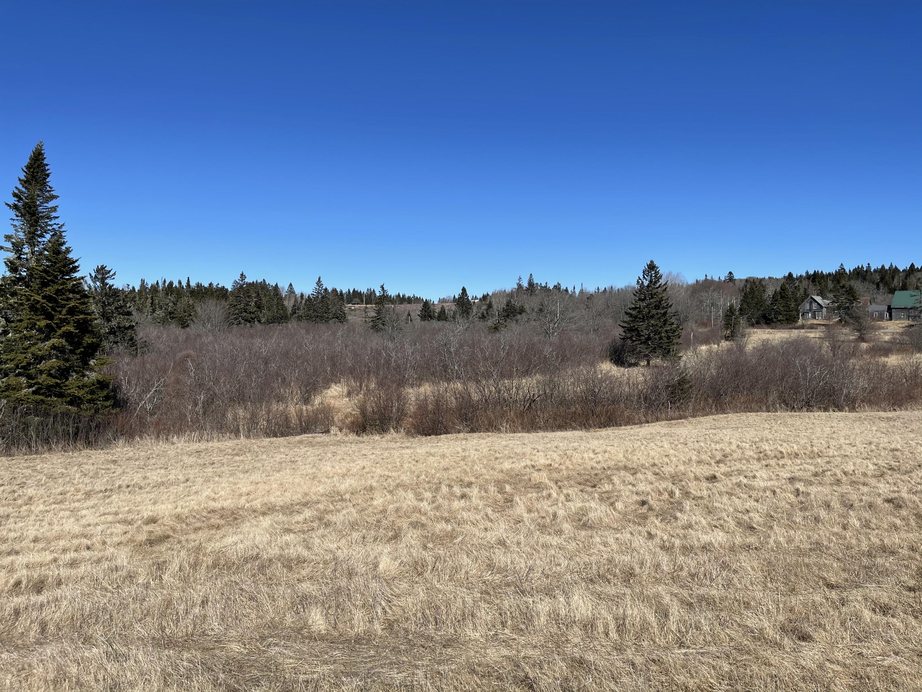 M6 L58 Cutler Road Cutler, ME 04626 - Photo 29 of 37 Photo Mar 12, 12 37 48 PM