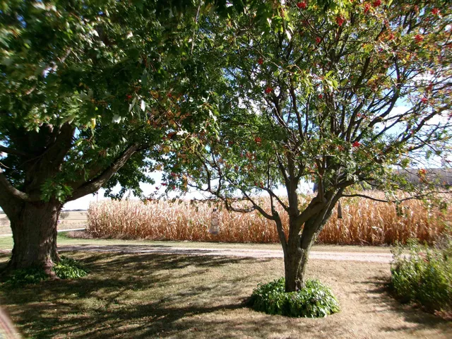 $321,000 | W3075 Highway 33, Cambria, WI 53923