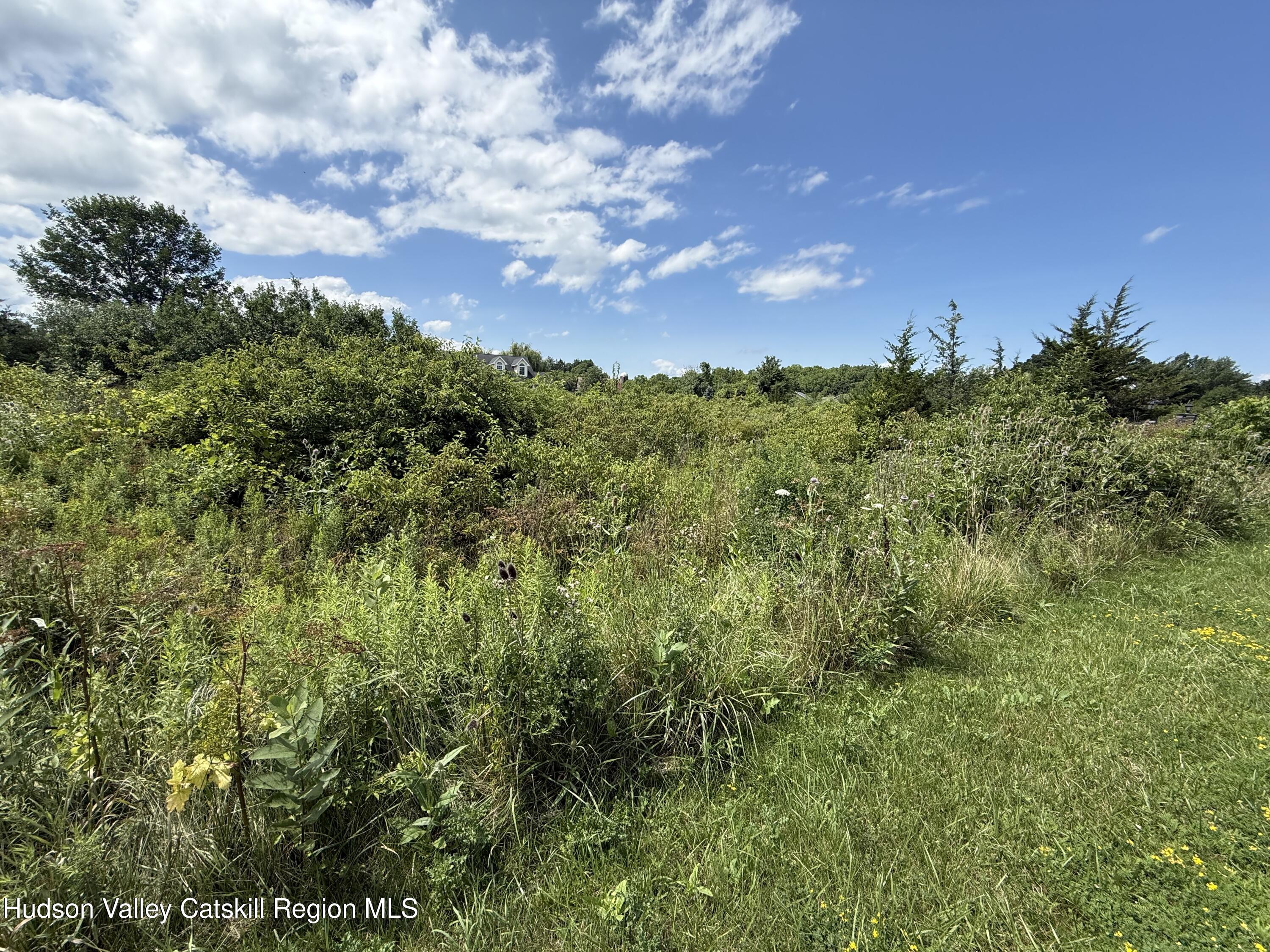 2906 Sleepy Hollow Road Athens, NY 12015 - Photo 4 of 20 IMG_2872