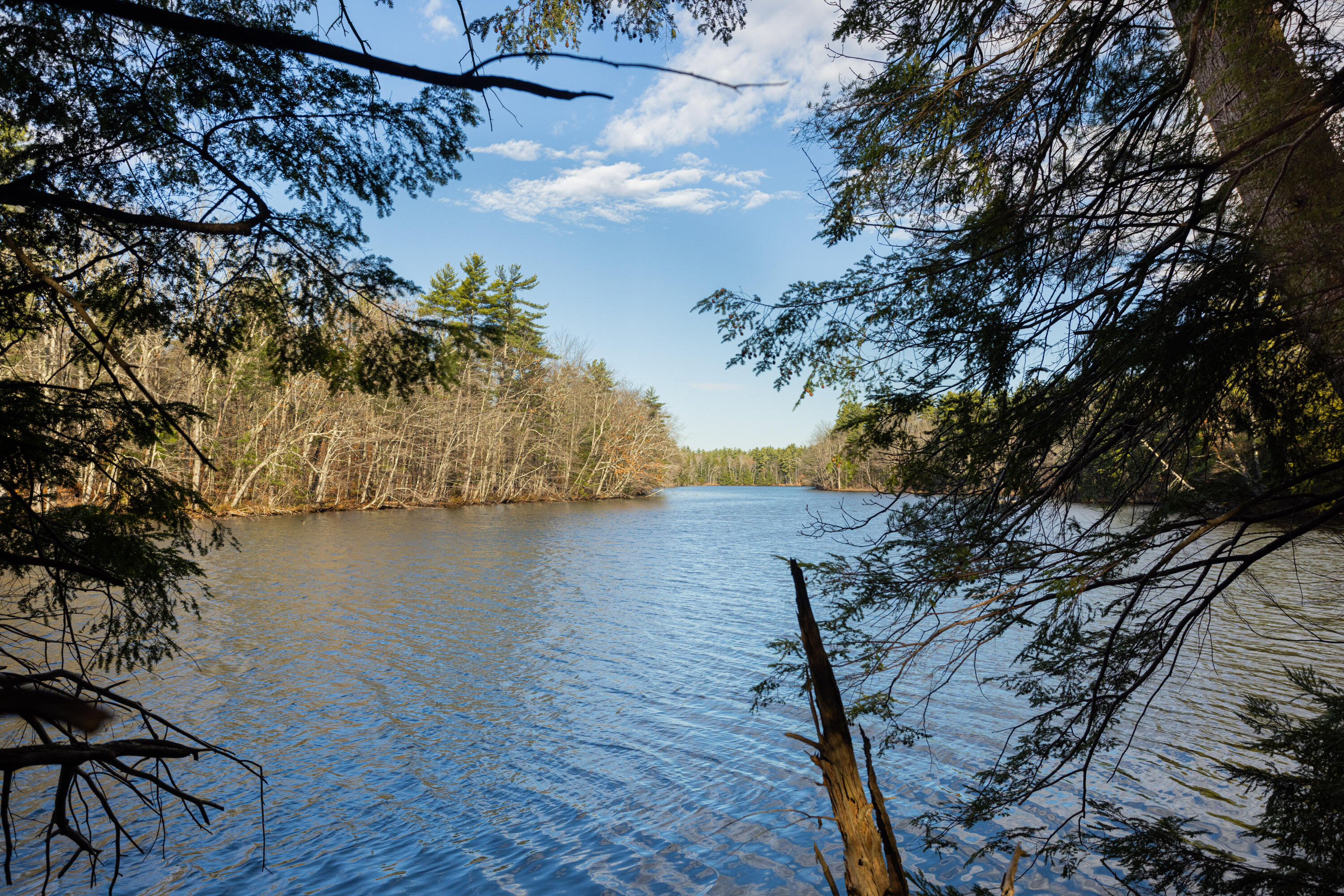Tbd Tbd Branch View Terrace, Unit LOT 8 Alfred, ME 04002 - Photo 12 of 24 williams_realty_partners_Alfred_Land_001