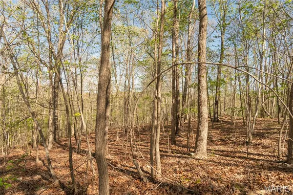 $299,900 | 253 Huckleberry Lane, Wappapello, MO 63966