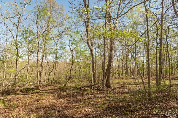 $299,900 | 253 Huckleberry Lane, Wappapello, MO 63966