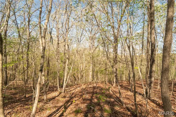 $299,900 | 253 Huckleberry Lane, Wappapello, MO 63966