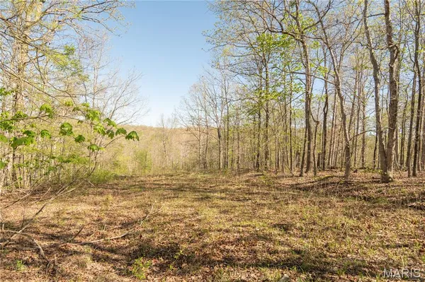 $299,900 | 253 Huckleberry Lane, Wappapello, MO 63966