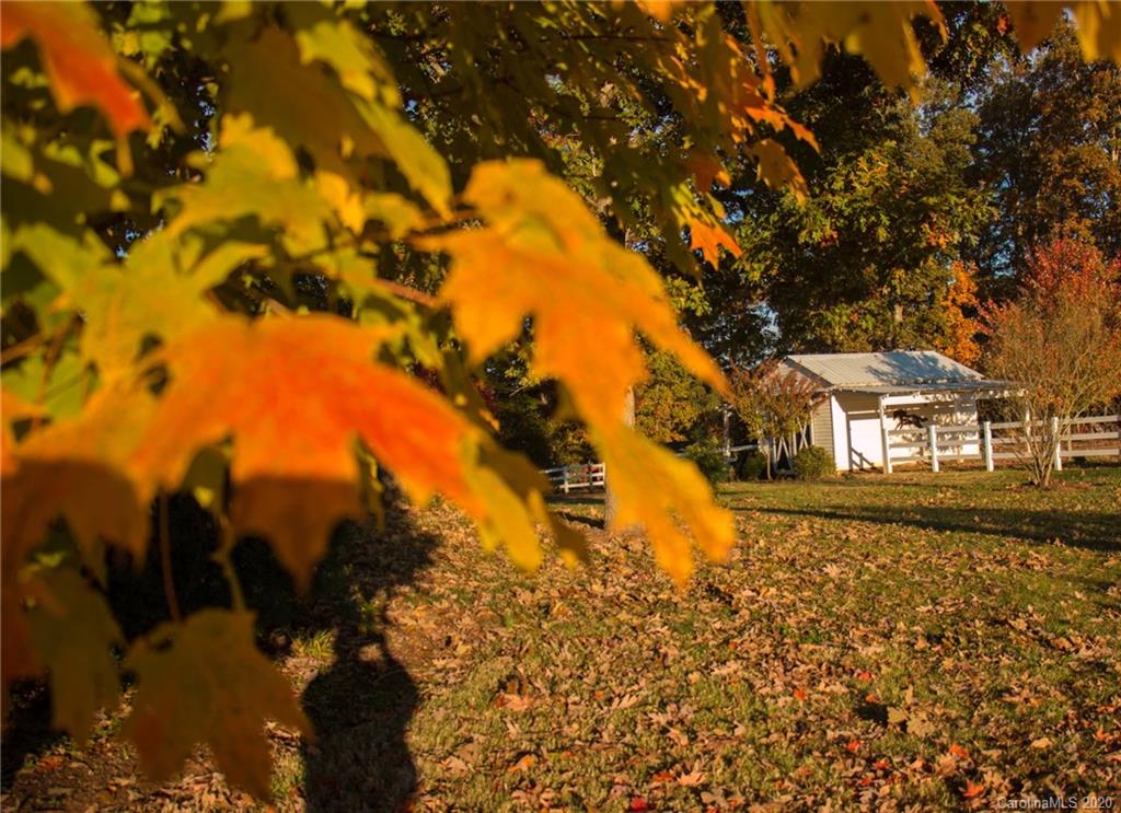 3215 Startown Road Lincolnton, NC 28092 - Photo 38 of 39 a backyard of a house with lots of green space
