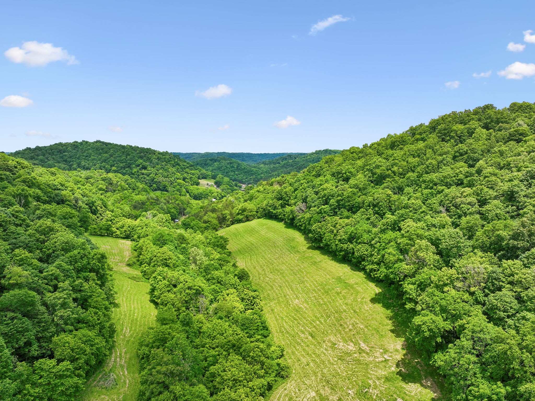 34 Friendship Hollow Road Pleasant Shade, TN 37145 - Photo 17 of 40 Gallery Image 17