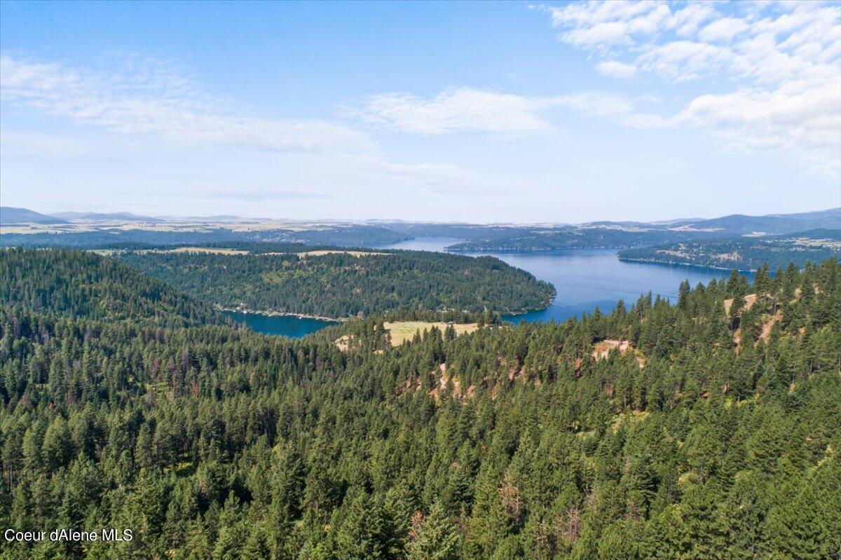 Nna East Alamo Road Harrison, ID 83833 - Photo 15 of 44 Trees and Lake View