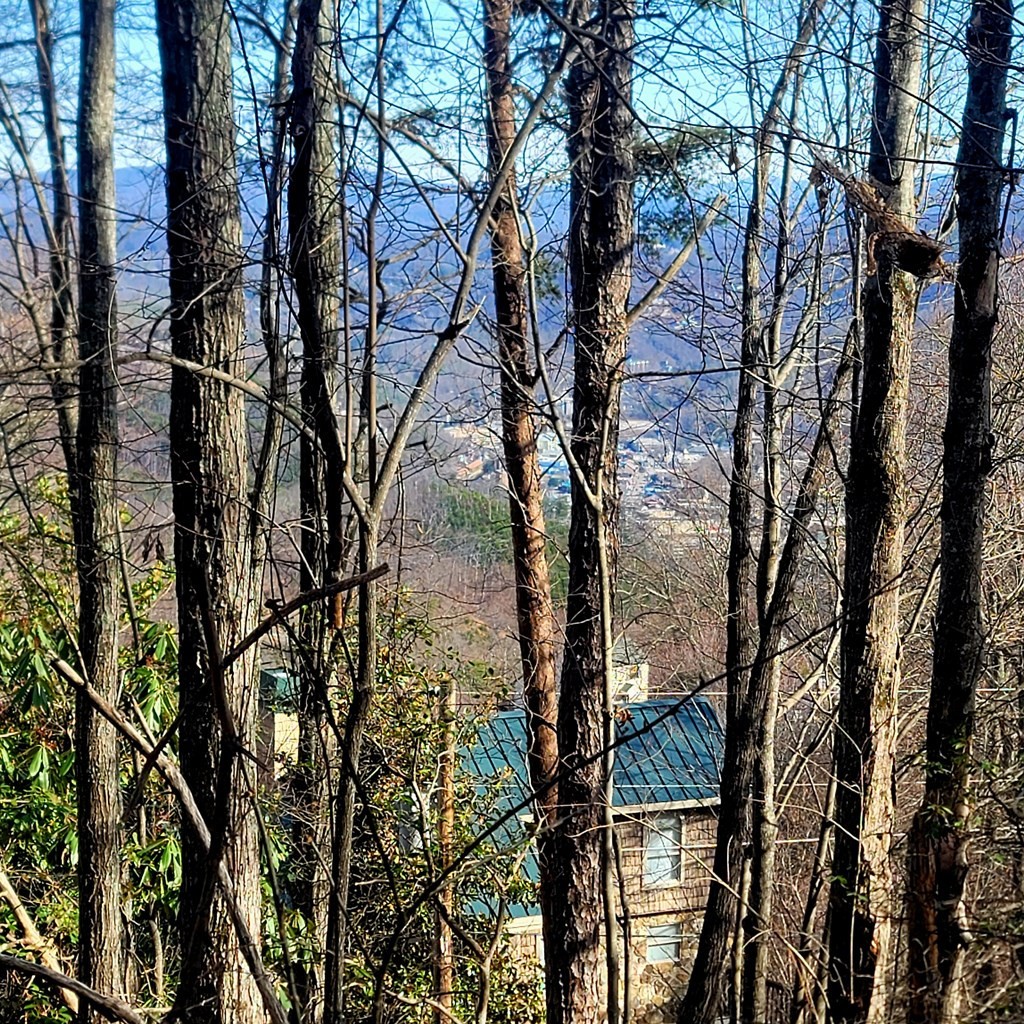 17 Zurich Road Gatlinburg, TN 37738 - Photo 10 of 24