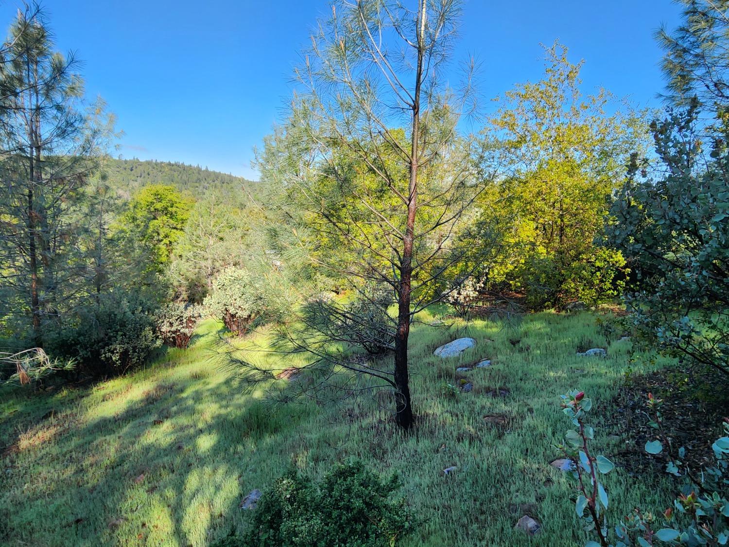 19994 John Born Road Penn Valley, CA 95946 - Photo 11 of 56