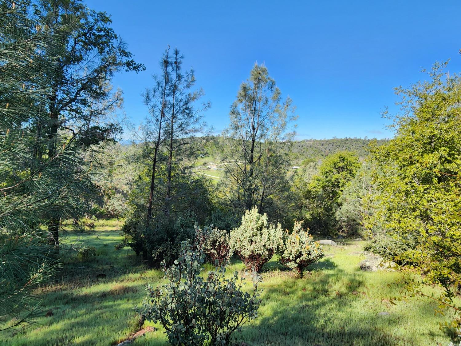 19994 John Born Road Penn Valley, CA 95946 - Photo 12 of 56