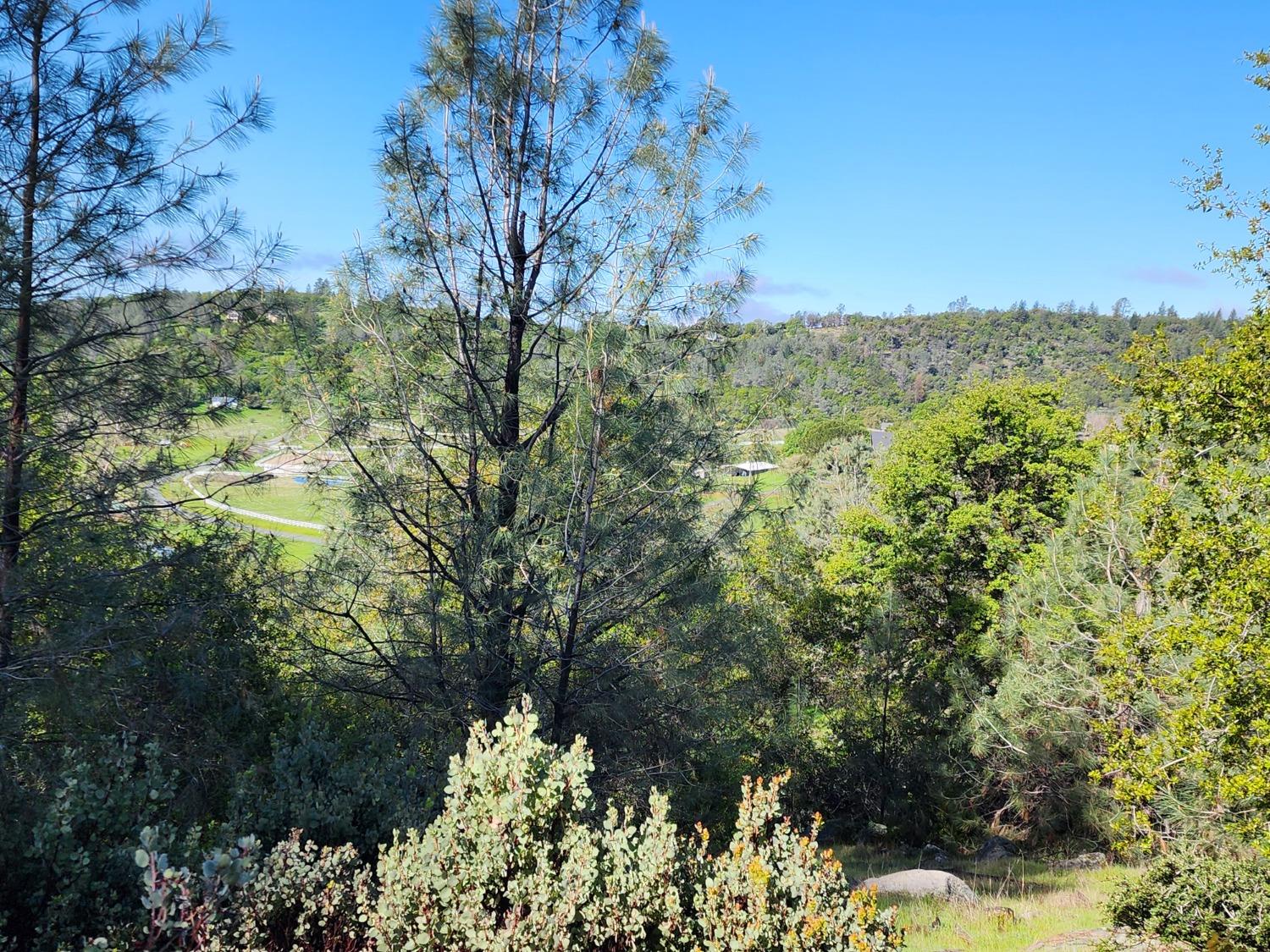 19994 John Born Road Penn Valley, CA 95946 - Photo 13 of 56