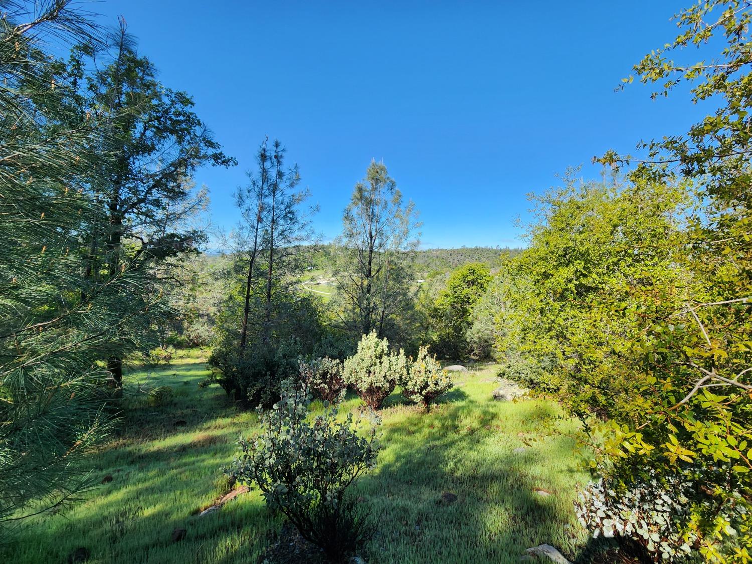 19994 John Born Road Penn Valley, CA 95946 - Photo 14 of 56