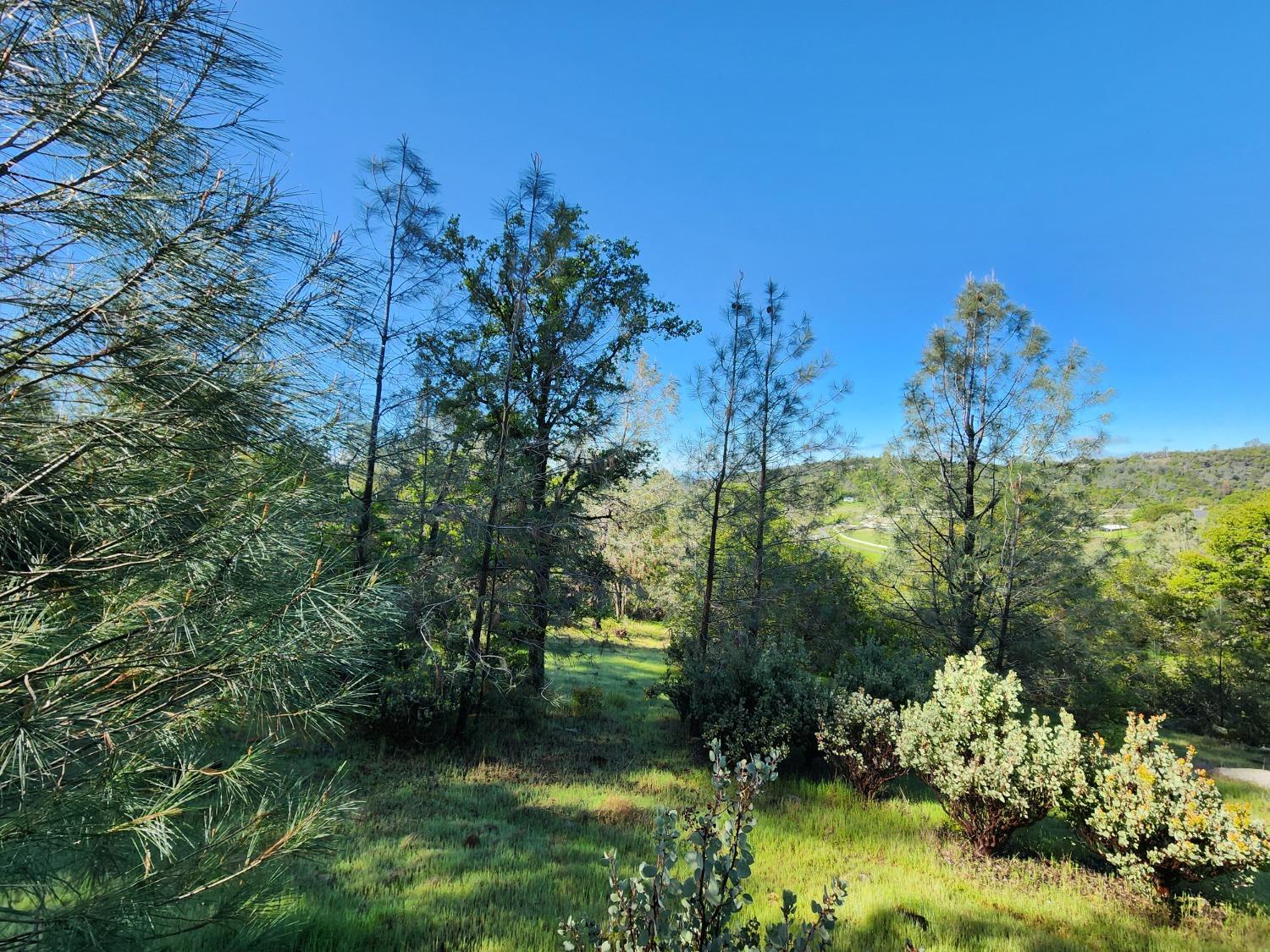 19994 John Born Road Penn Valley, CA 95946 - Photo 15 of 56