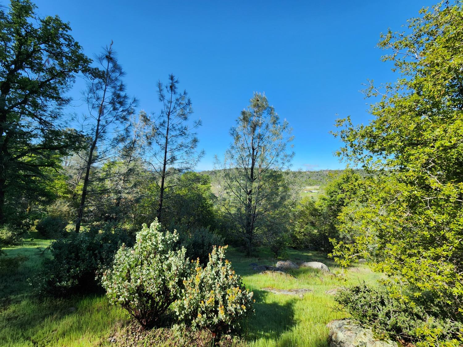 19994 John Born Road Penn Valley, CA 95946 - Photo 16 of 56