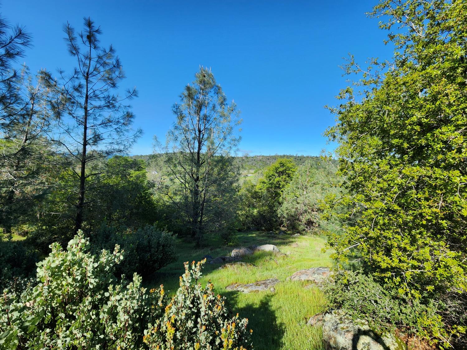 19994 John Born Road Penn Valley, CA 95946 - Photo 17 of 56