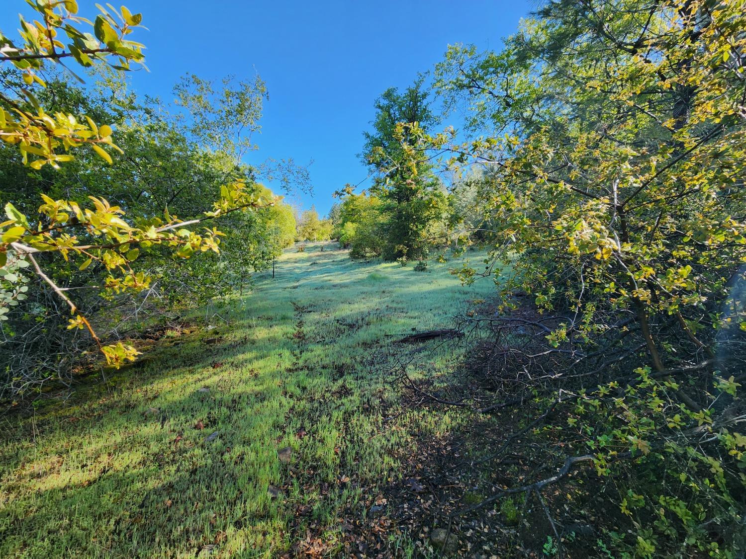 19994 John Born Road Penn Valley, CA 95946 - Photo 18 of 56