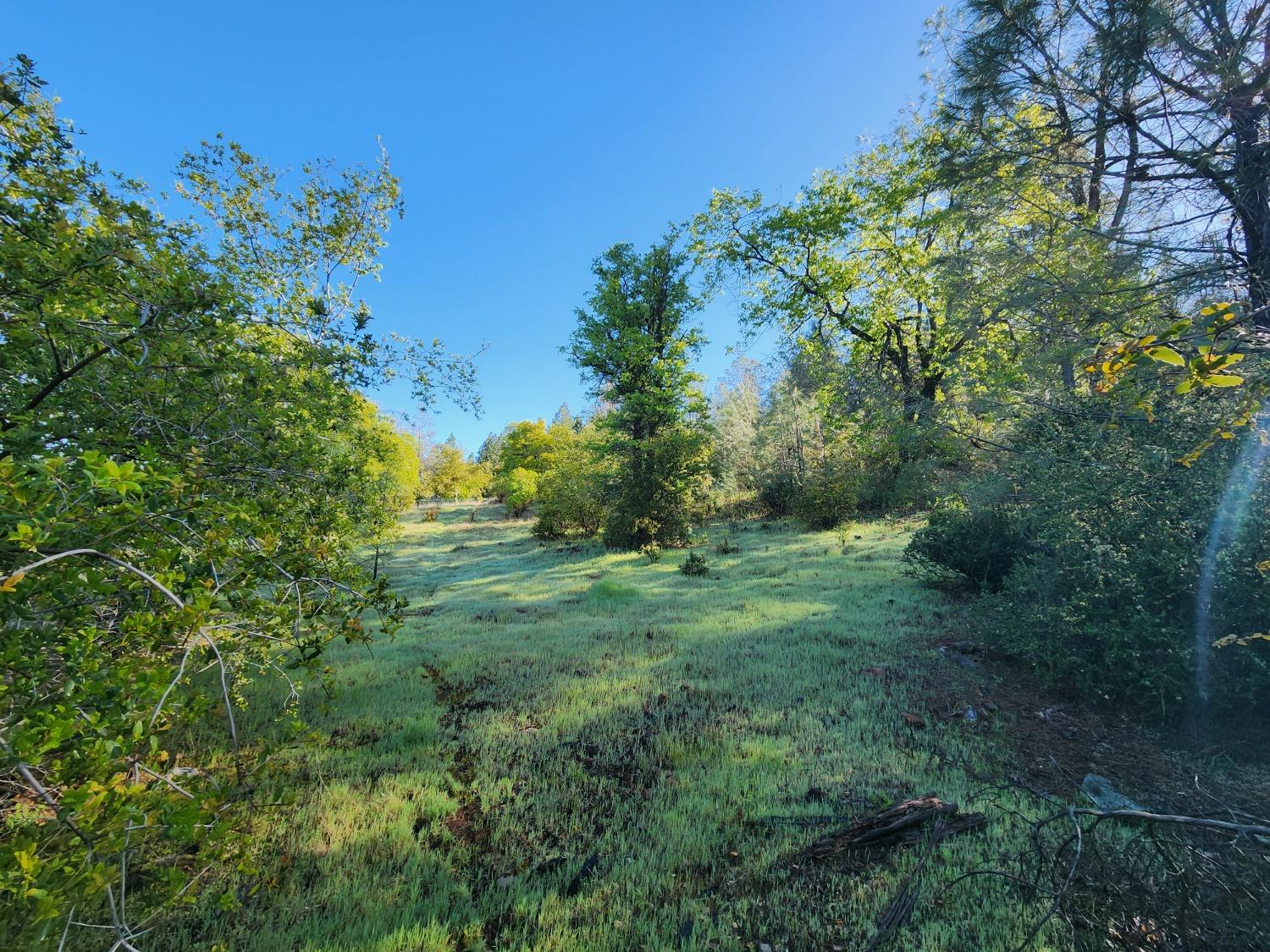 19994 John Born Road Penn Valley, CA 95946 - Photo 19 of 56