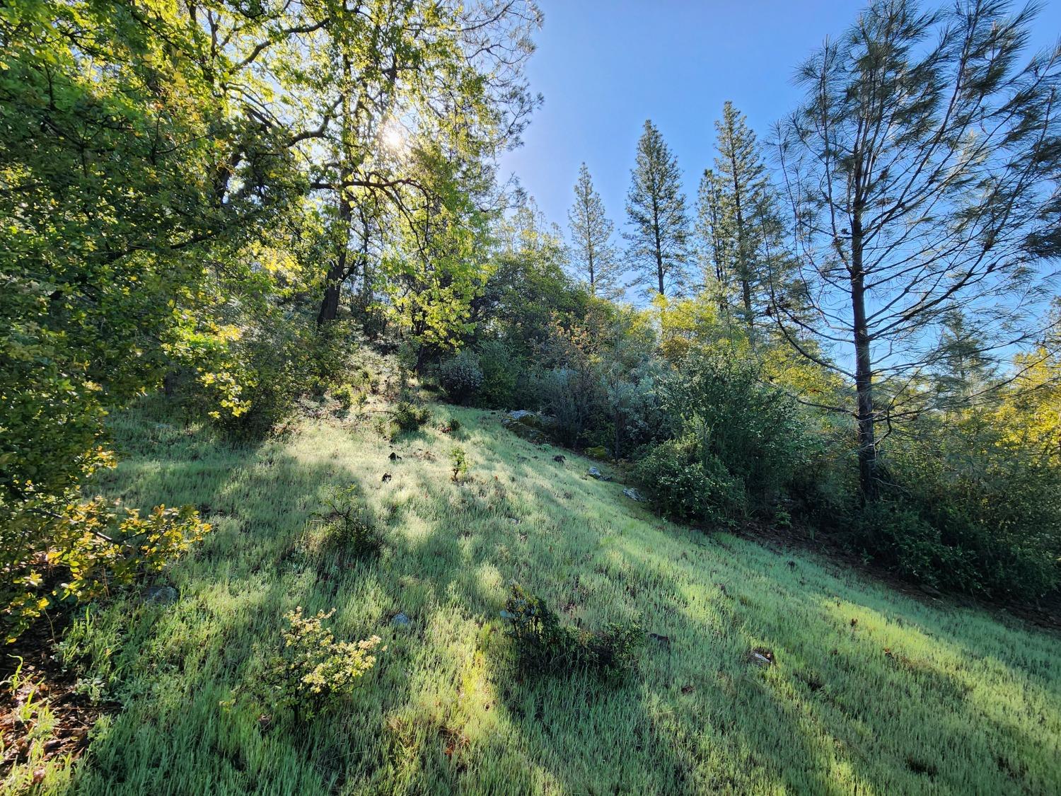 19994 John Born Road Penn Valley, CA 95946 - Photo 20 of 56