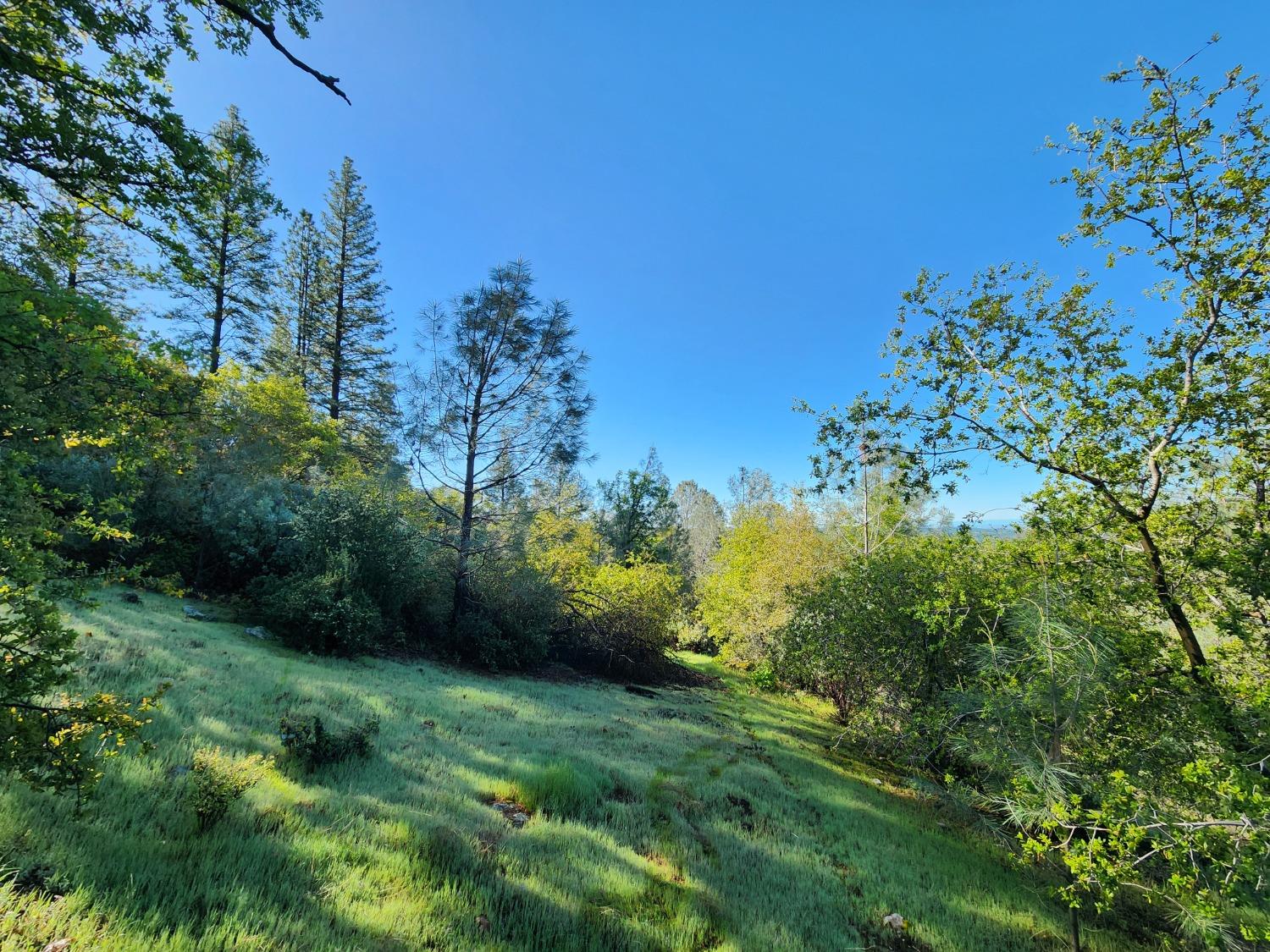 19994 John Born Road Penn Valley, CA 95946 - Photo 21 of 56