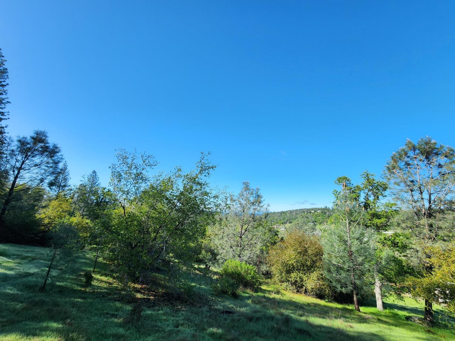 19994 John Born Road Penn Valley, CA 95946 - Photo 22 of 56