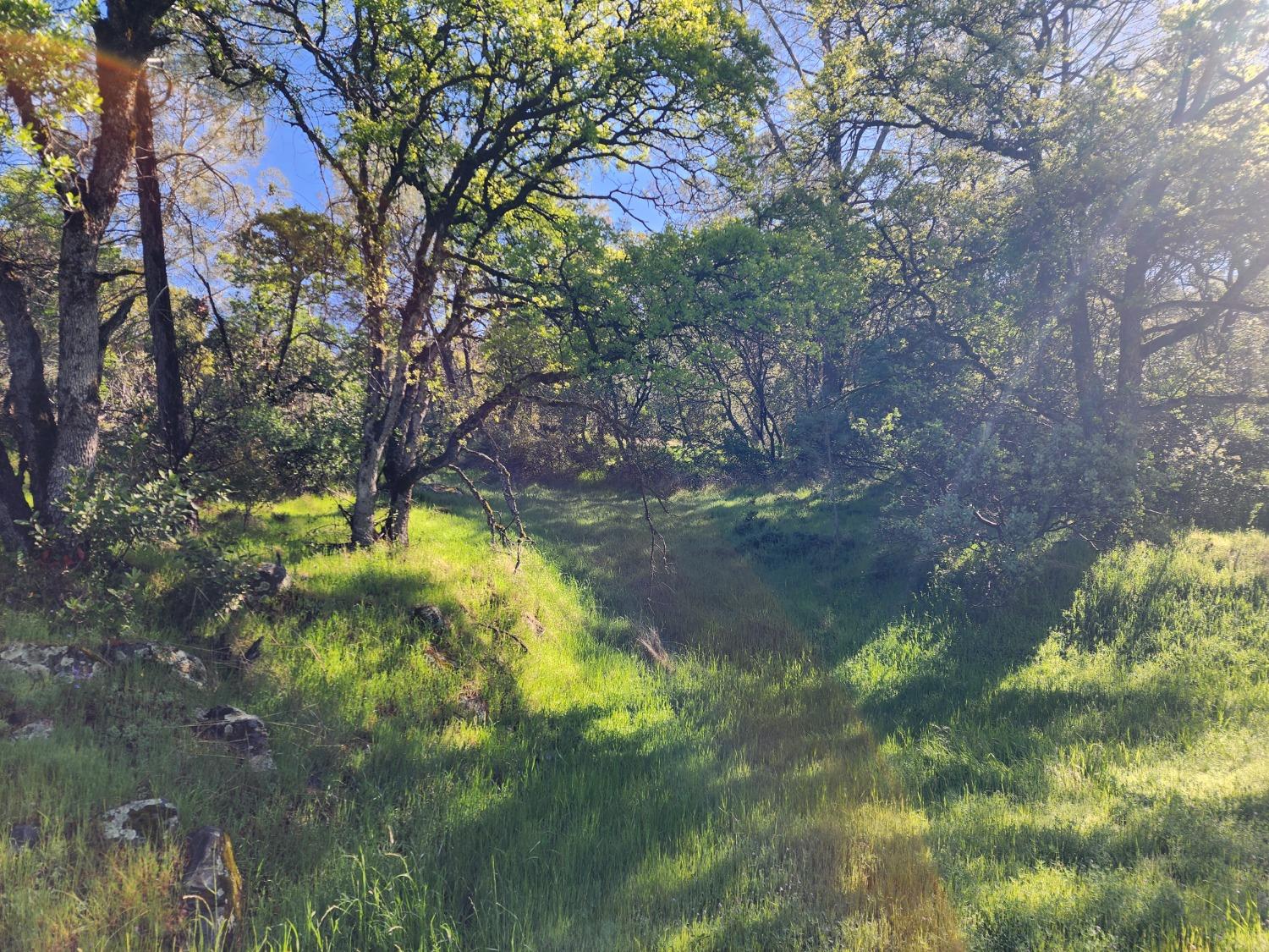 19994 John Born Road Penn Valley, CA 95946 - Photo 24 of 56