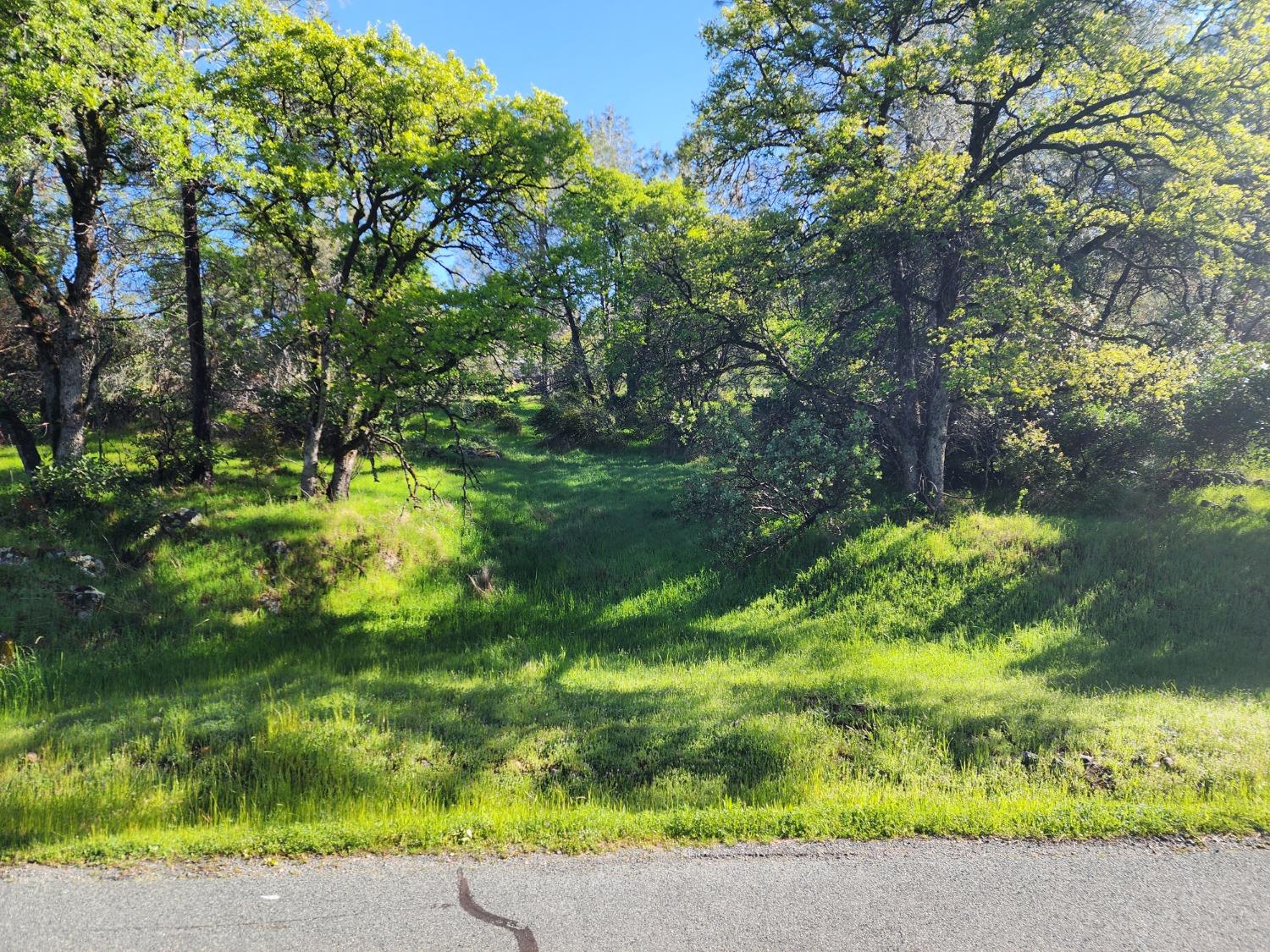 19994 John Born Road Penn Valley, CA 95946 - Photo 25 of 56