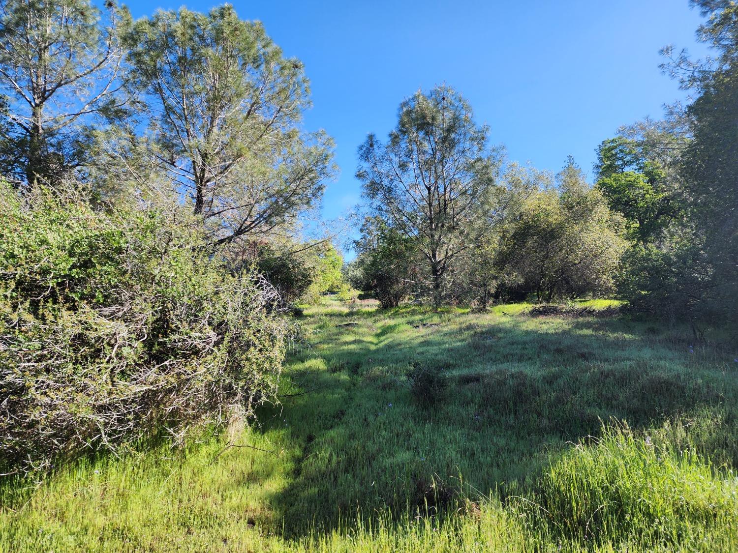 19994 John Born Road Penn Valley, CA 95946 - Photo 28 of 56