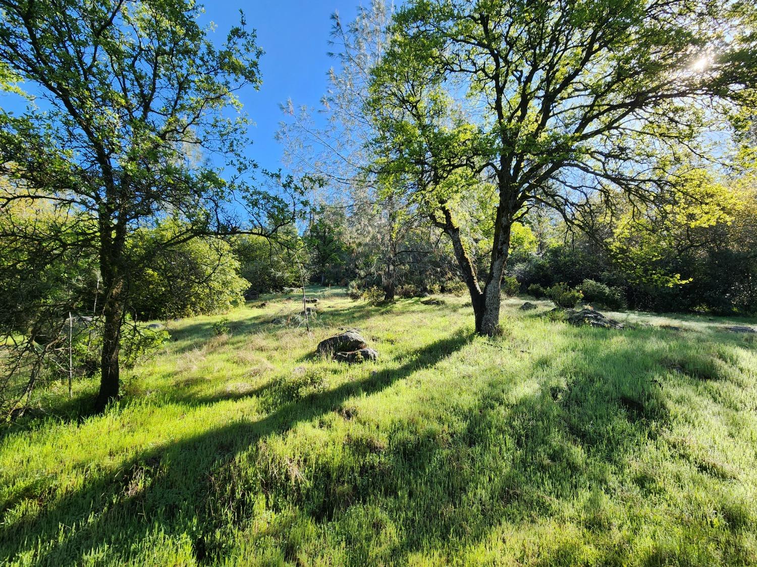 19994 John Born Road Penn Valley, CA 95946 - Photo 3 of 56