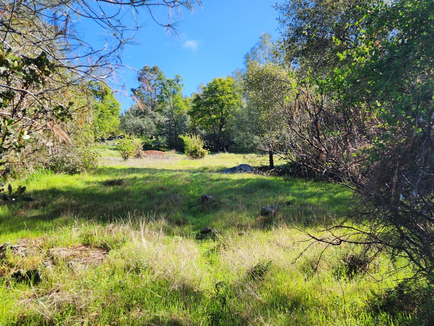 19994 John Born Road Penn Valley, CA 95946 - Photo 32 of 56