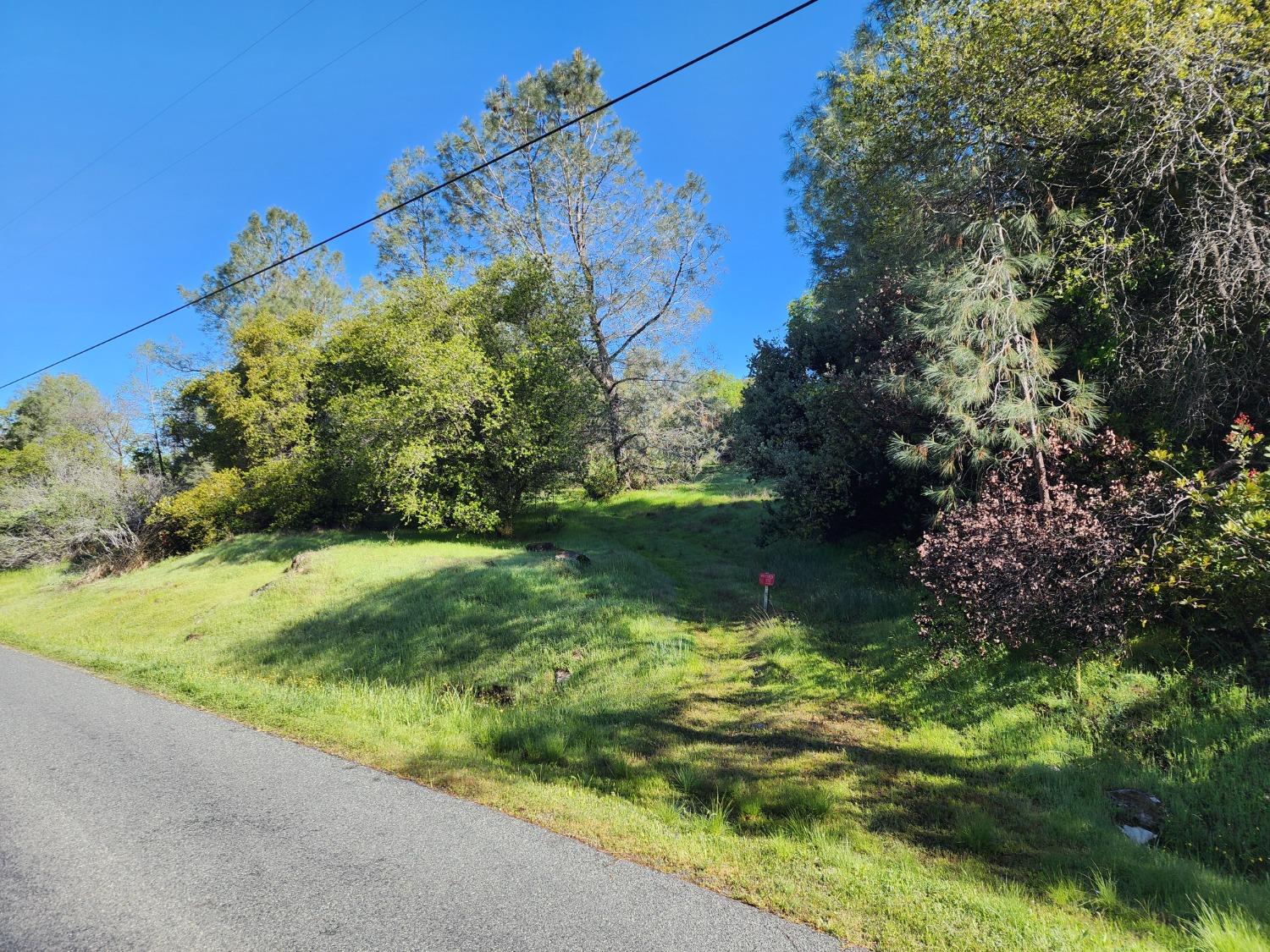 19994 John Born Road Penn Valley, CA 95946 - Photo 37 of 56